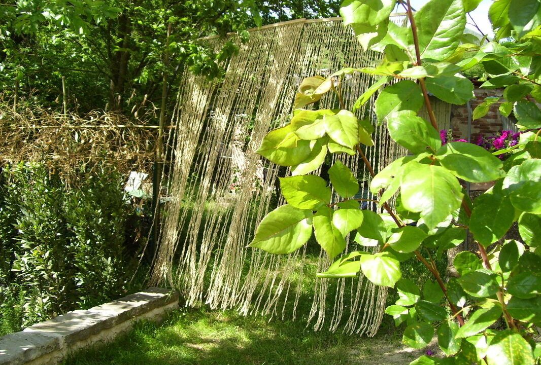 Photo of Outdoor in Molezzano