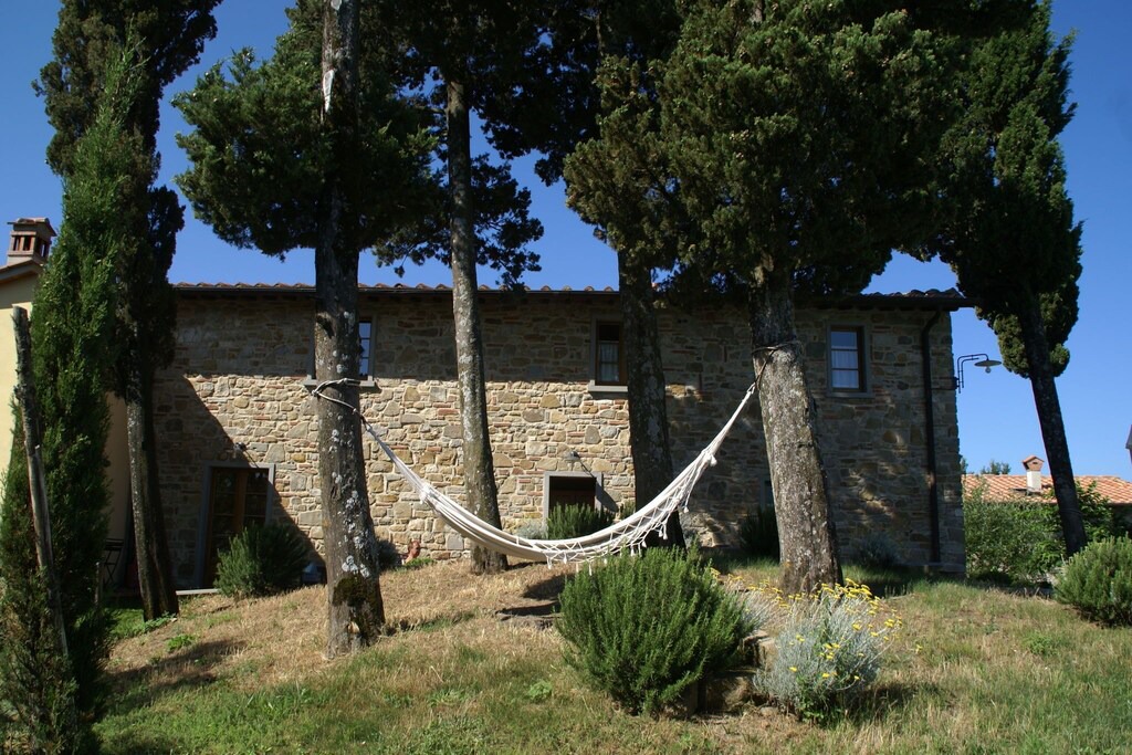 Photo of Buildings in Montecarelli