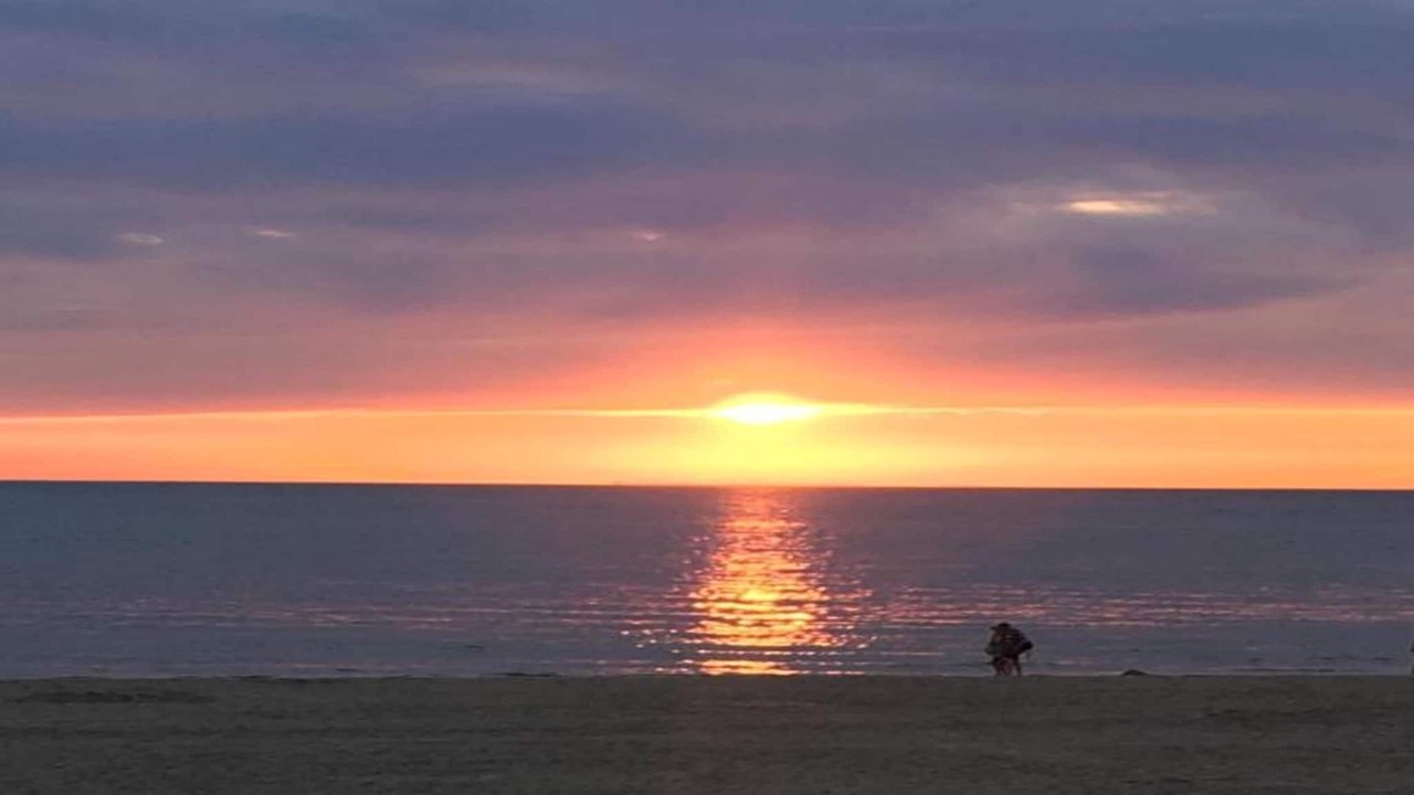 Photo of Others in Egmond aan Zee