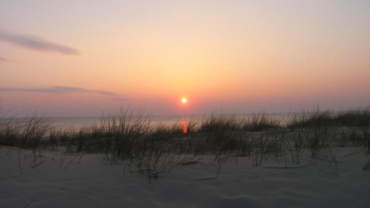 Photo of Others in Egmond aan Zee