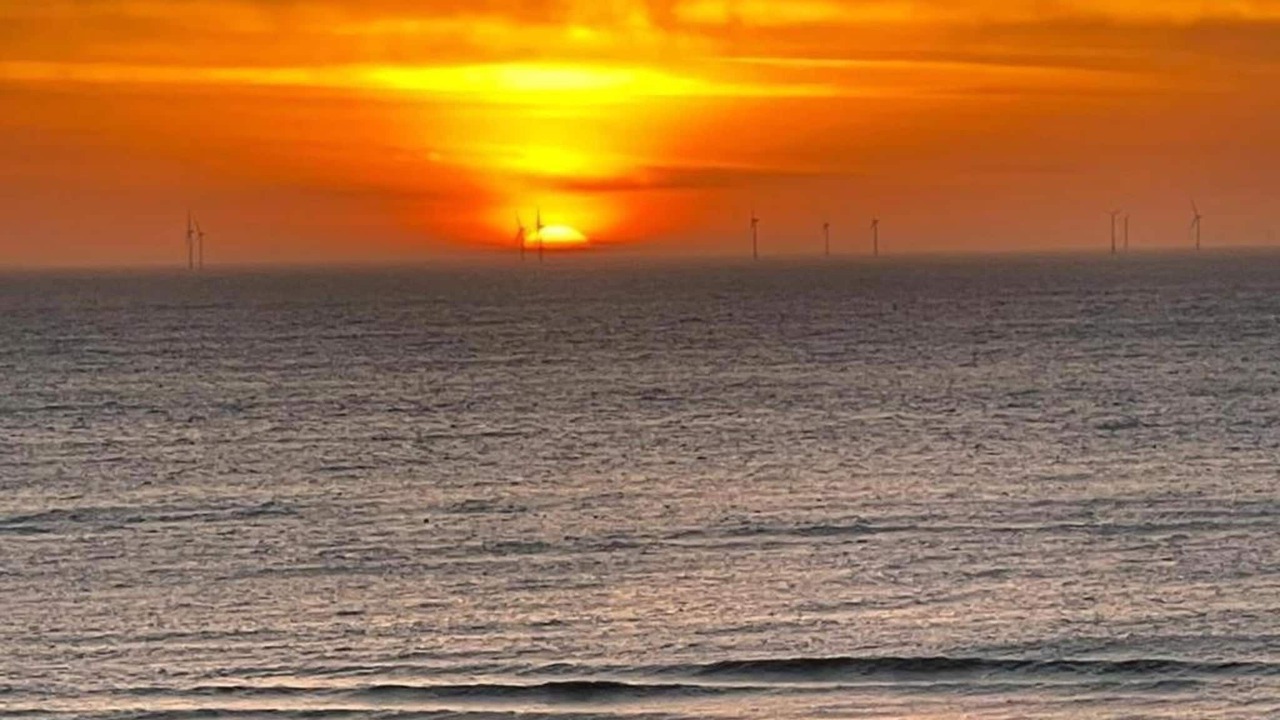 Photo of Others in Egmond aan Zee