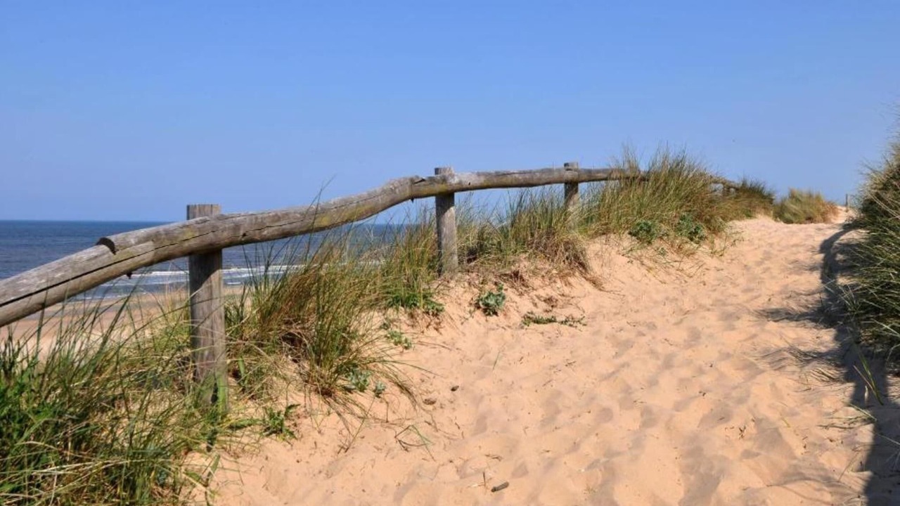 Photo of Others in Egmond aan Zee