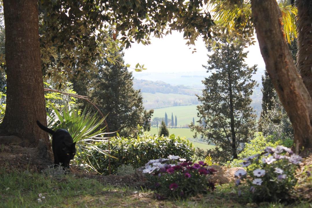 Photo of Others in Ghizzano