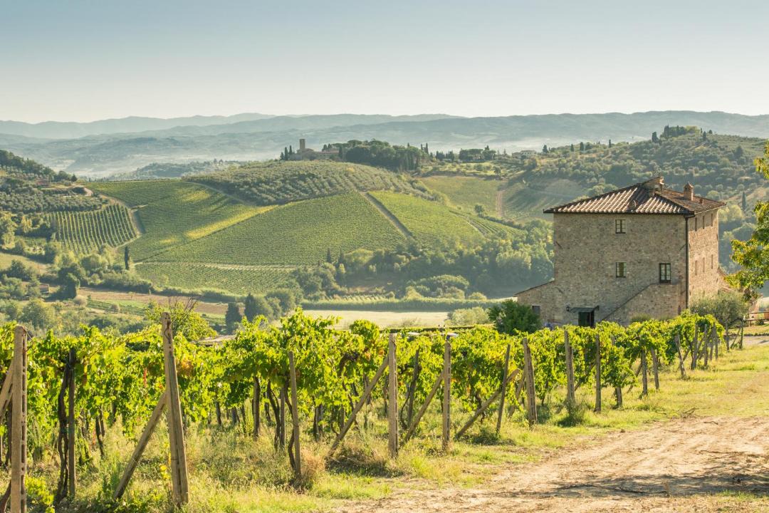 Photo of Others in San Gimignano