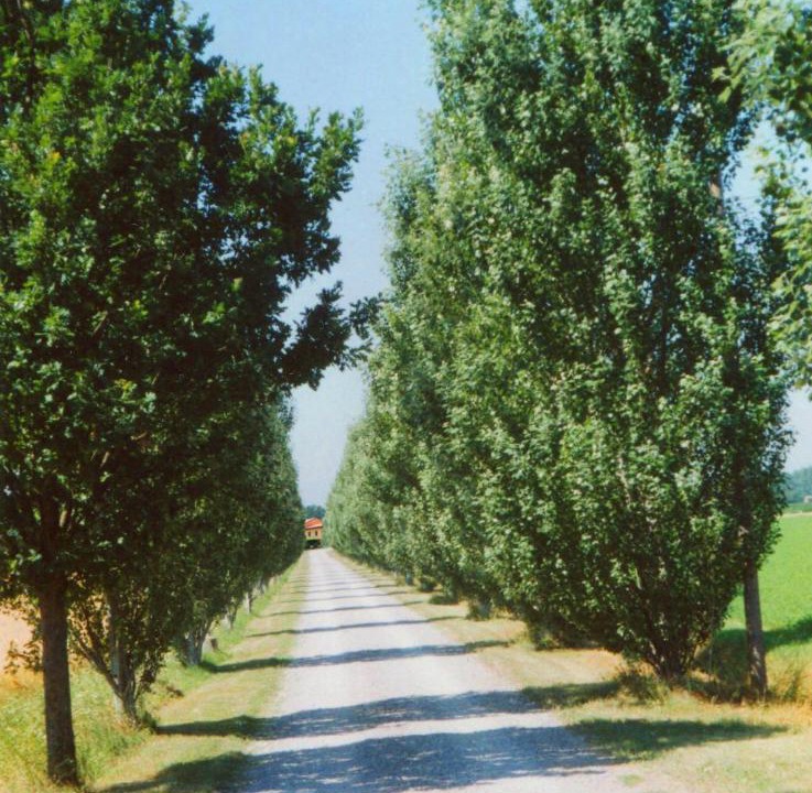 Photo of Others in Bersano