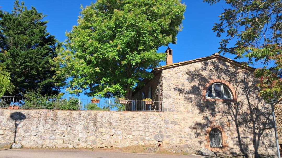 Photo of Others in Lucciana