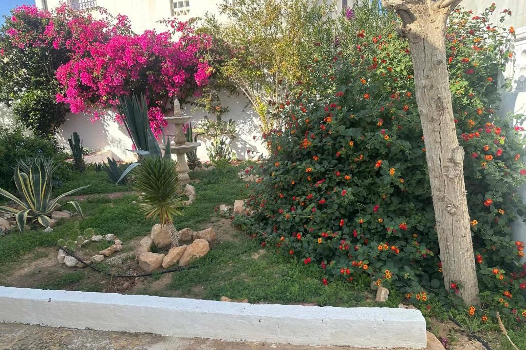 Photo of Others in Zarzis