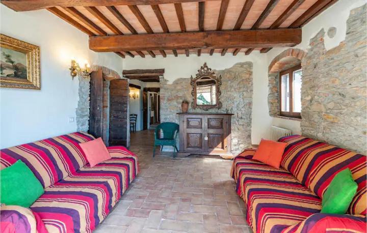 Photo of Others in Castagneto Carducci