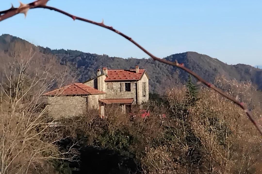Photo of Others in Masero