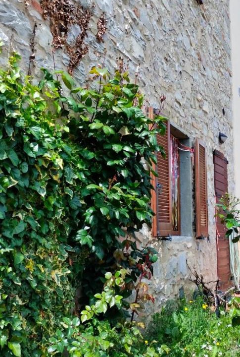 Photo of Others in Bovecchio
