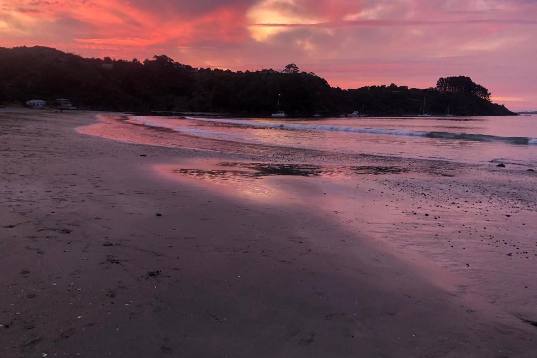 Photo of Others in Palm Beach