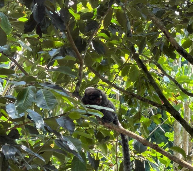 Photo of Others in Pontal