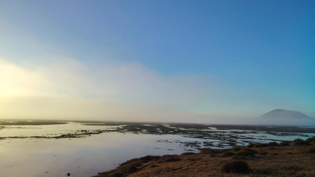Photo of Others in San Quintin