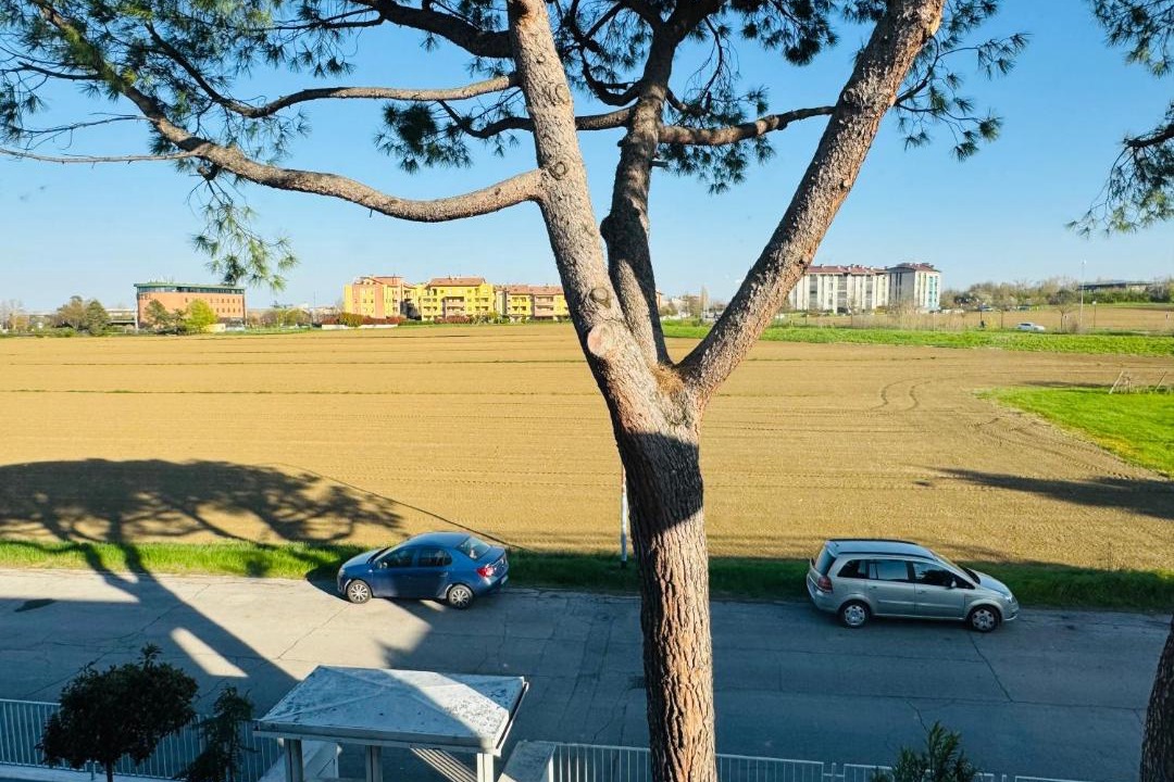 Photo of Others in Ozzano dell'Emilia
