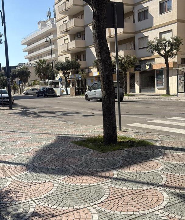 Photo of Others in San Donato