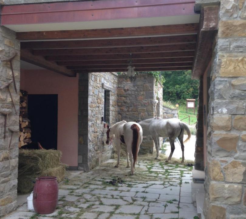 Photo of Others in Camugnano