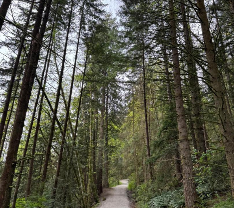 Photo of Others in West Vancouver
