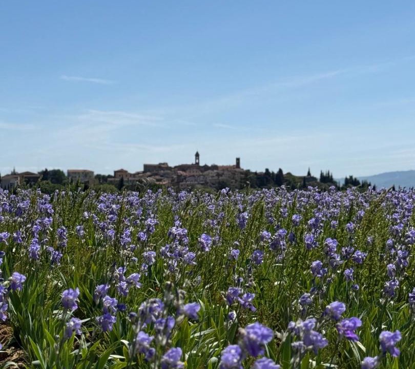 Photo of Others in Castiglion Fibocchi