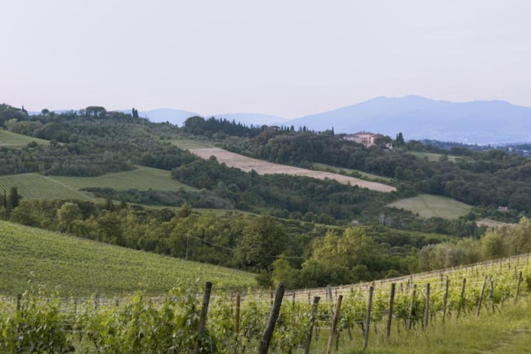 Photo of Others in San Casciano in Val di Pesa