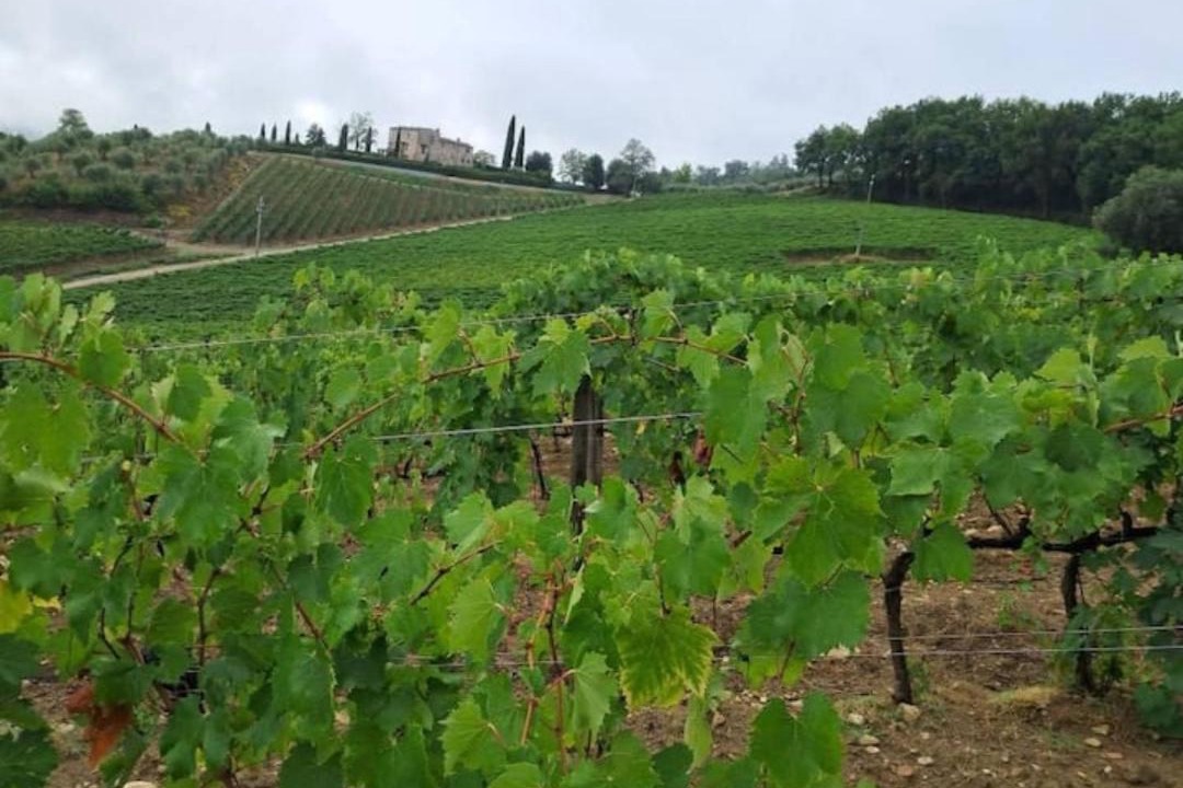 Photo of Others in San Casciano in Val di Pesa