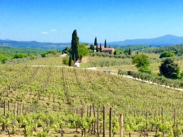 Photo of Others in Castelnuovo Berardenga