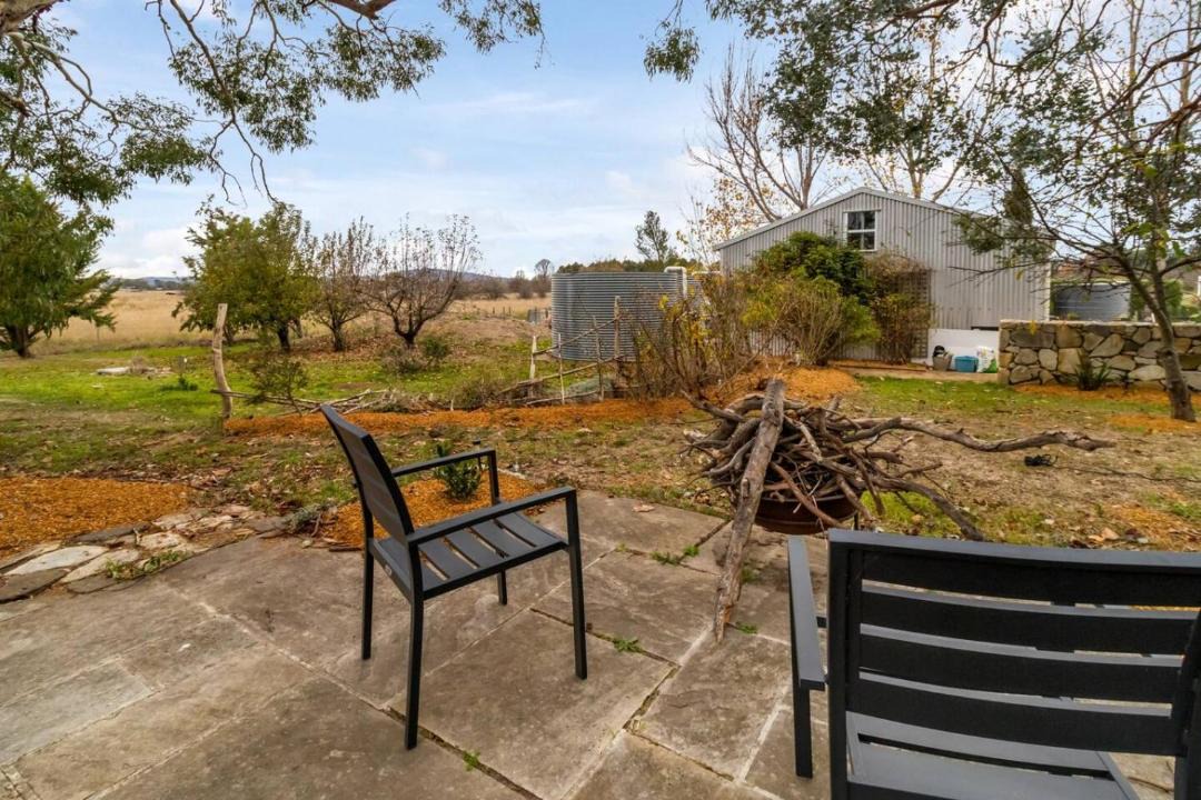 Photo of Others in Collector