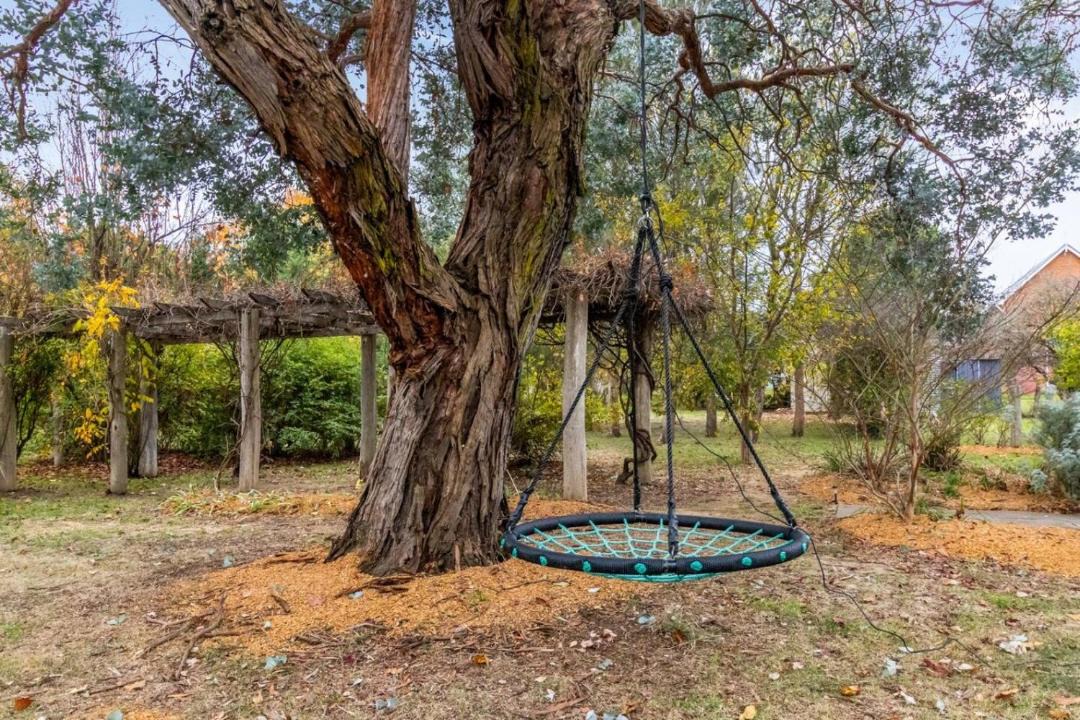 Photo of Outdoor in Collector