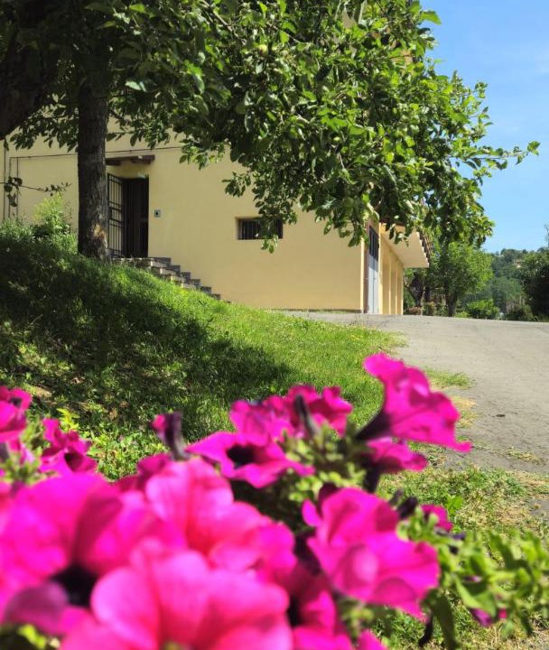 Photo of Others in Madonna Dei Fornelli