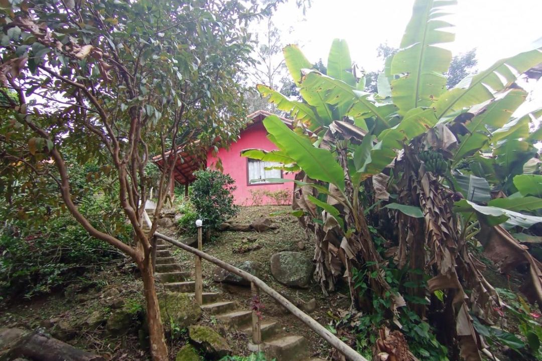 Photo of Others in Sao Pedro da Serra