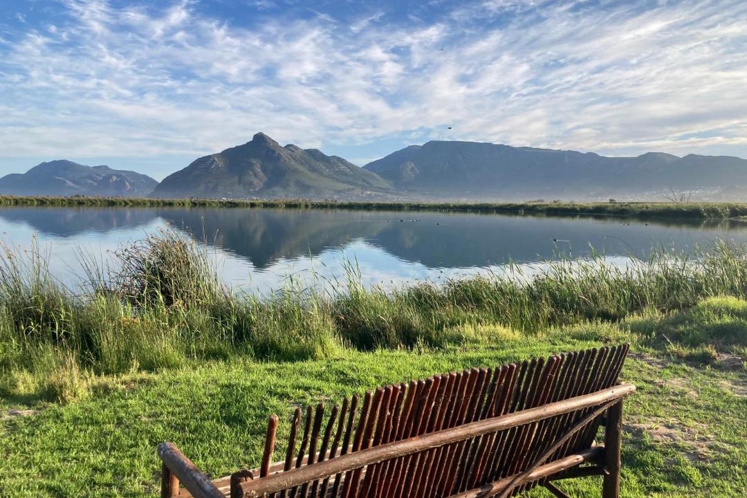 Photo of Others in Kommetjie