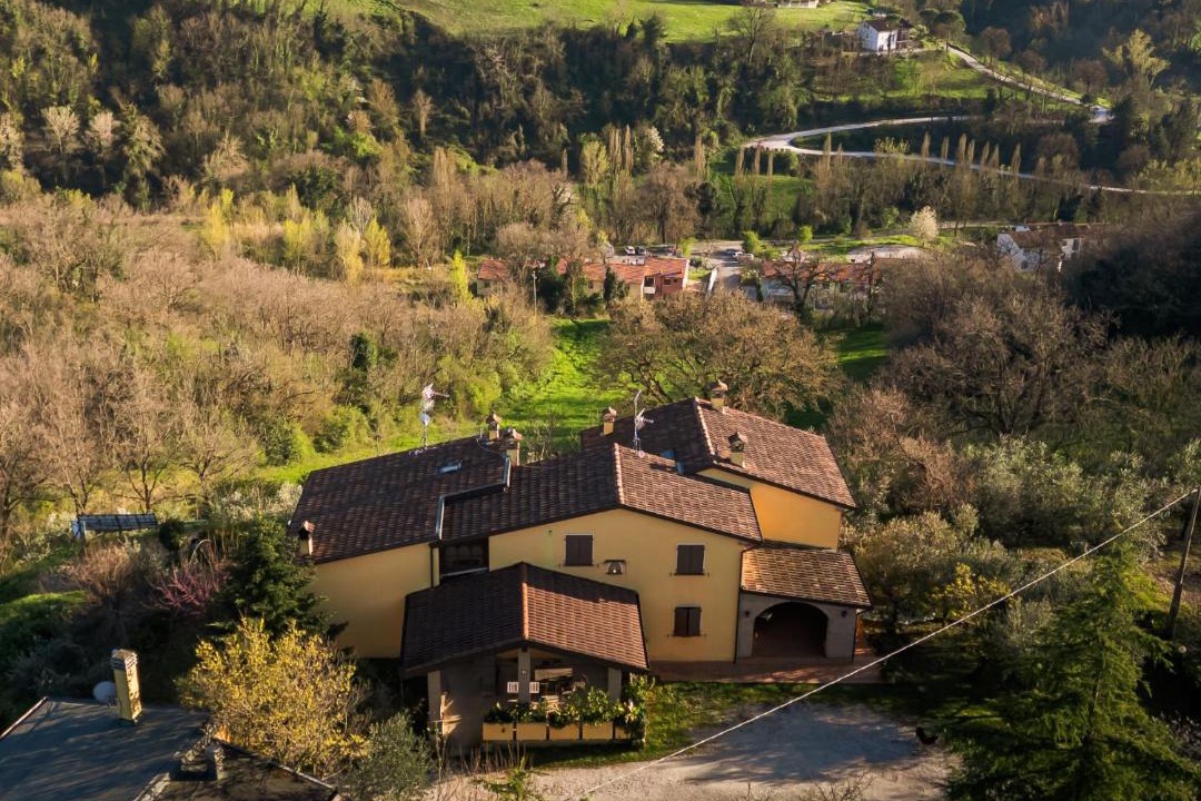 Photo of Others in Urbino