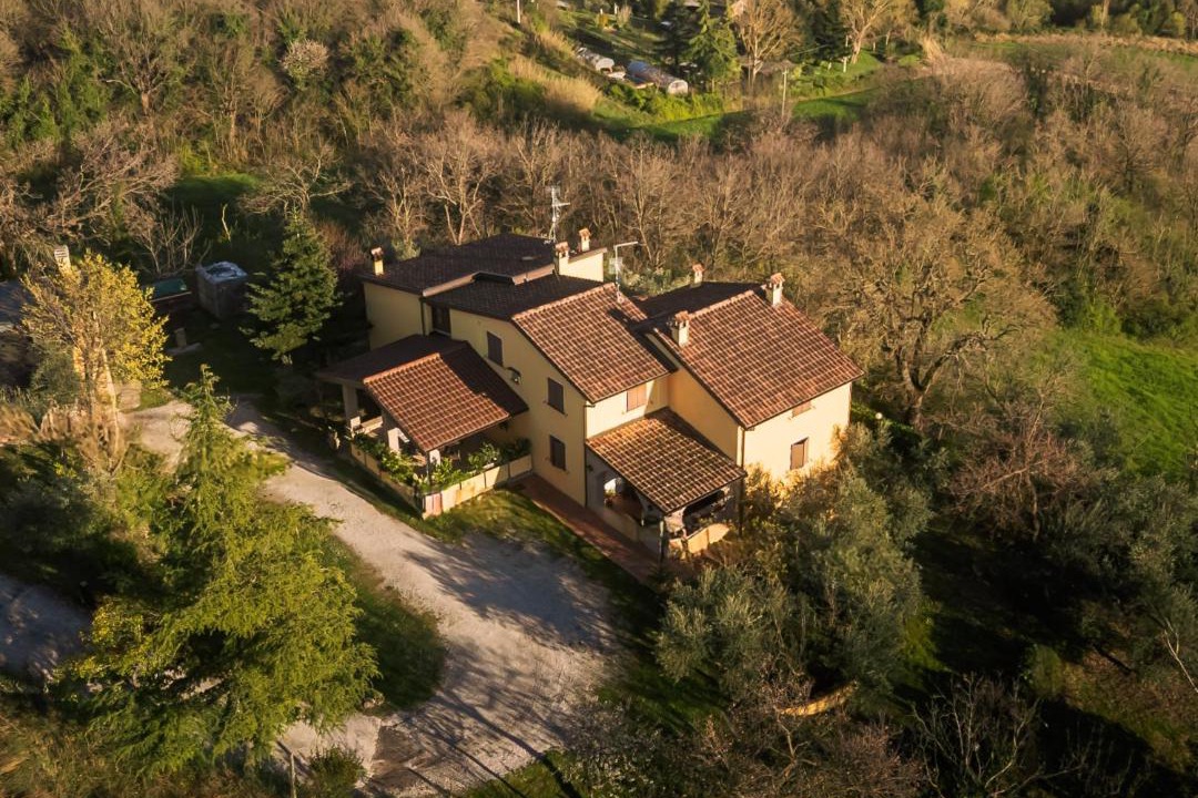 Photo of Others in Urbino