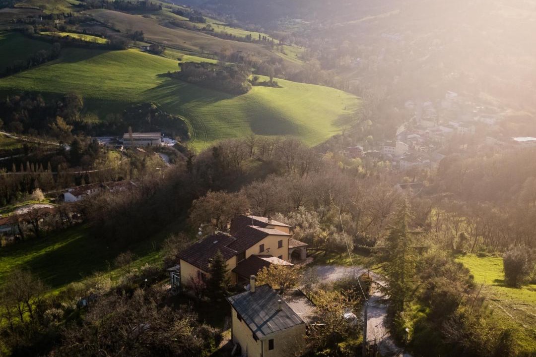 Photo of Others in Urbino