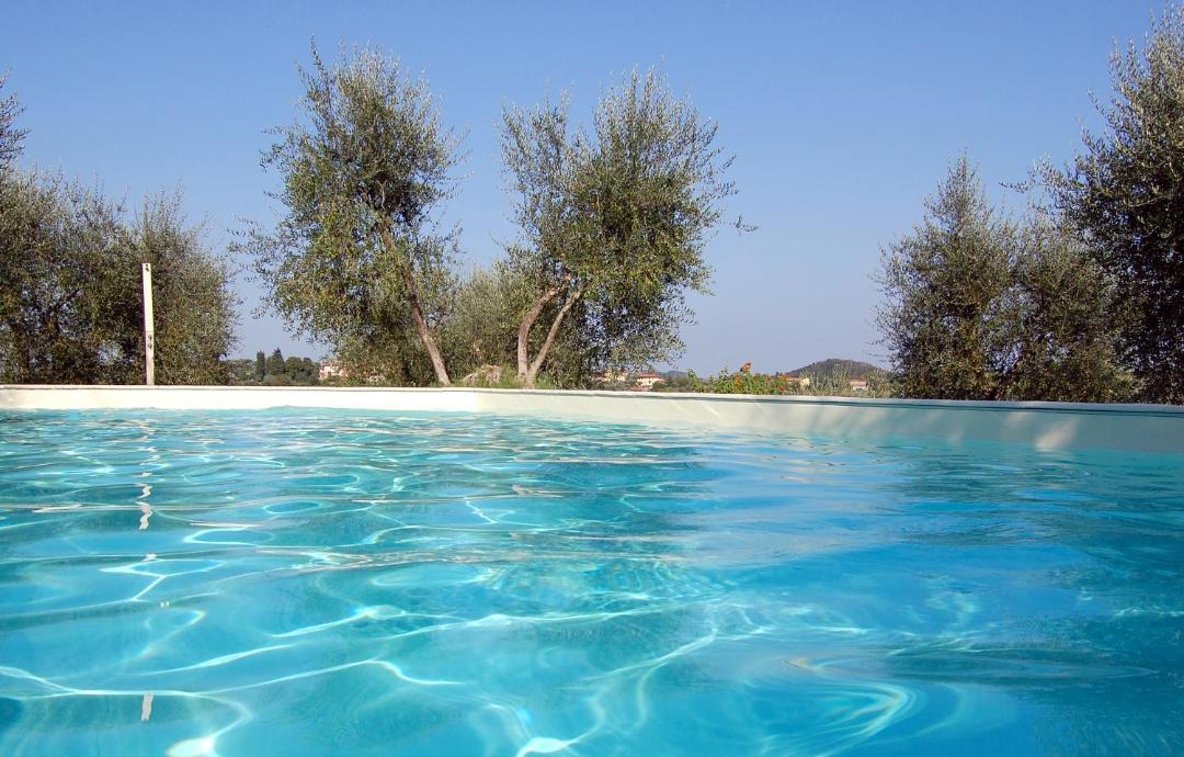 Photo of Others in Palaia