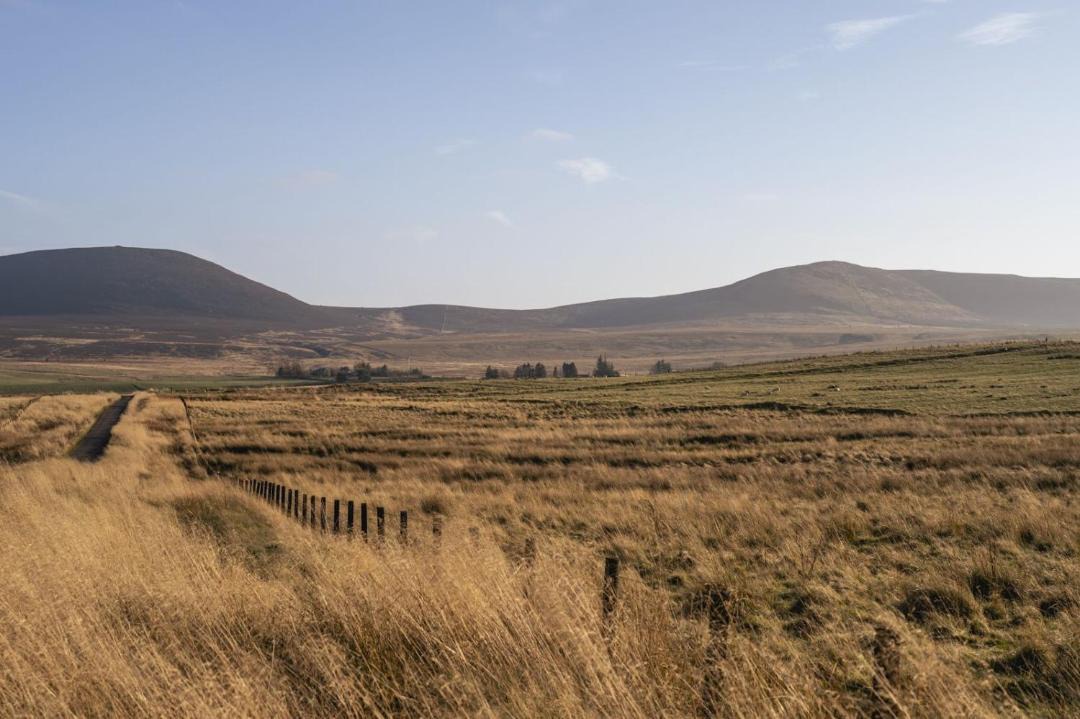 Photo of Others in Kirknewton