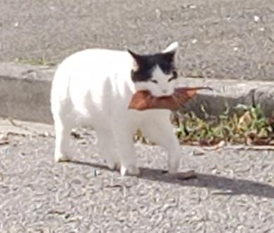 Photo of Others in Vicchio