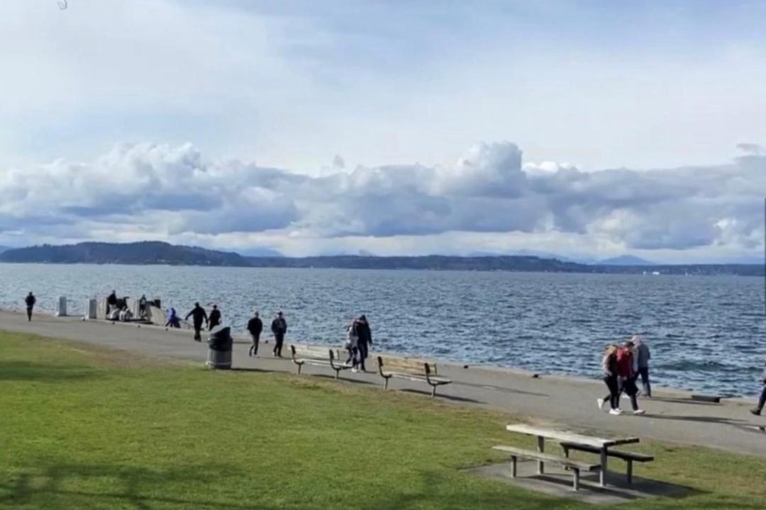 Photo of Others in Alki