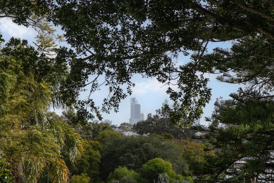 Photo of Others in East Victoria Park