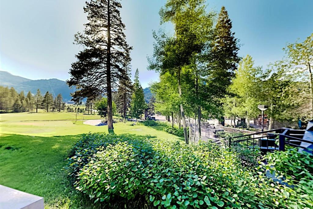 Photo of Others in Olympic Valley
