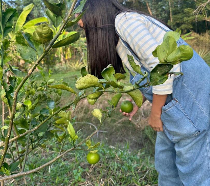 Photo of Others in Kaeng Khoi