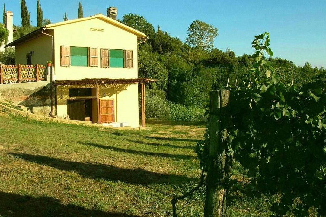 Photo of Others in Montopoli in Val d'Arno