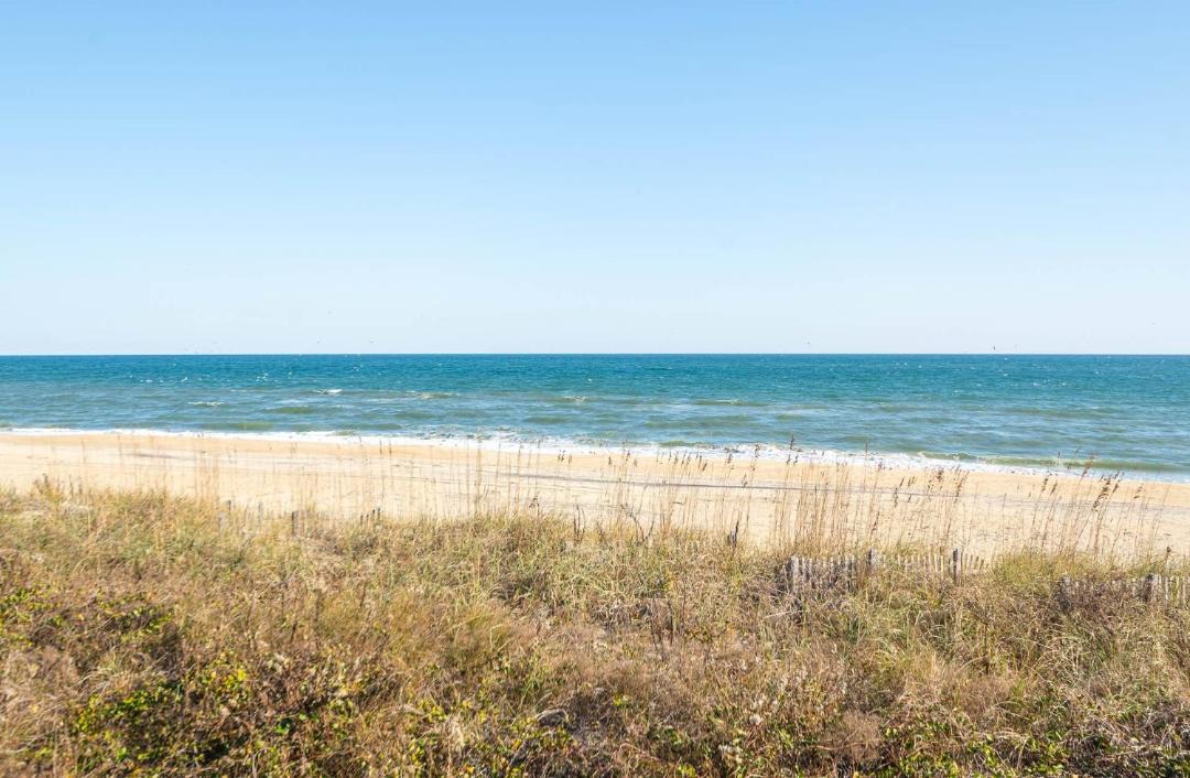 Photo of Others in Carolina Dunes