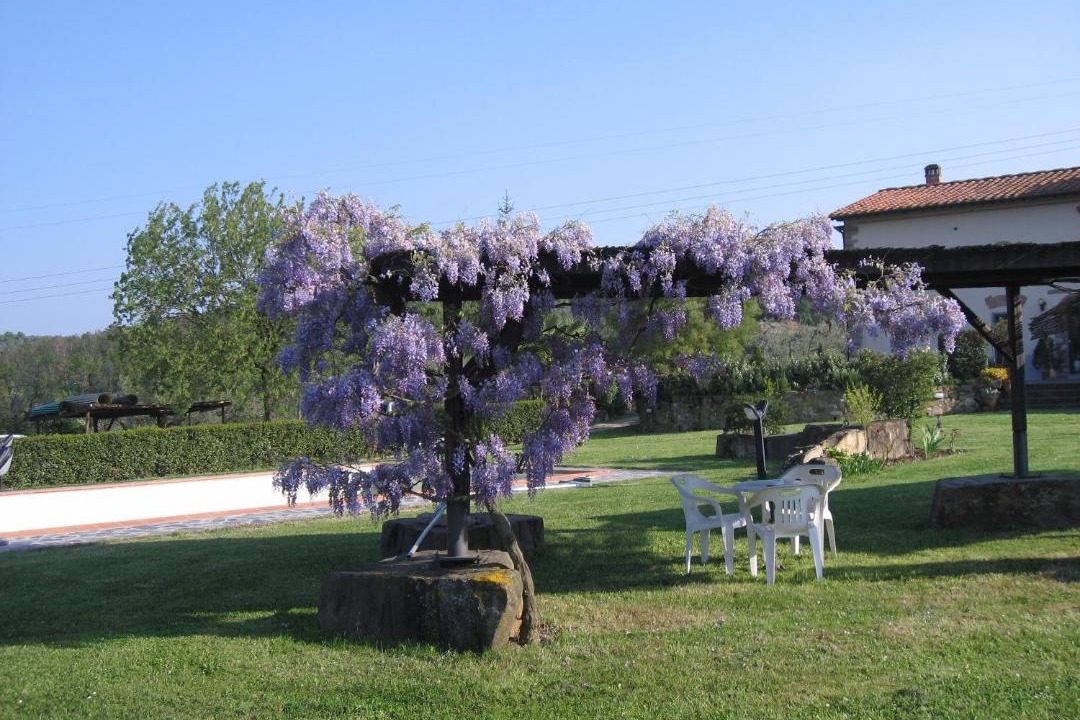 Photo of Others in Lastra a Signa
