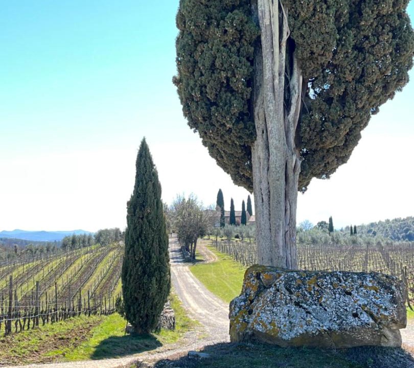 Photo of Others in Castelnuovo Berardenga