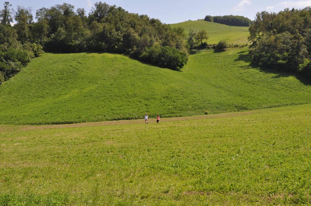 Photo of Others in Zocca