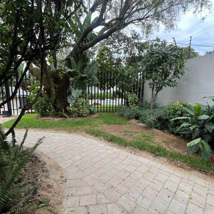 Photo of Others in Greater Johannesburg Metropolitan Area