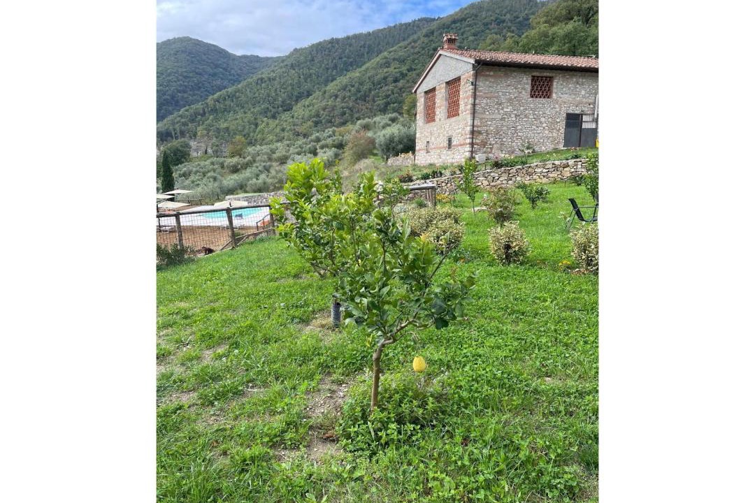 Photo of Others in Barberino di Mugello