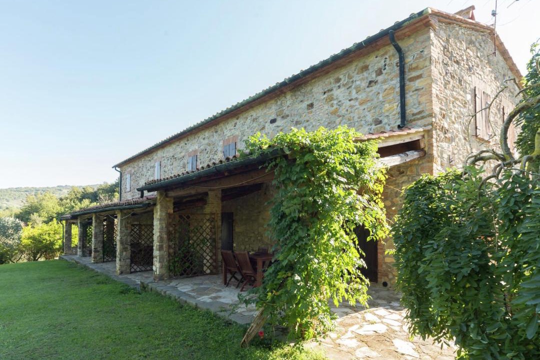 Photo of Others in Castelnuovo di Val di Cecina