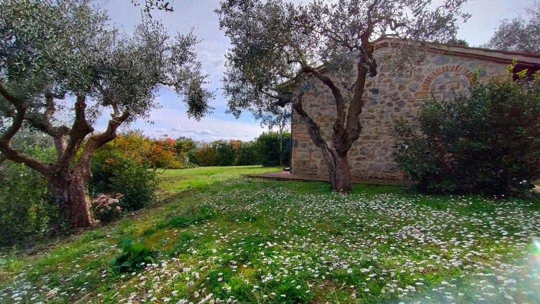 Photo of Others in Lucciana