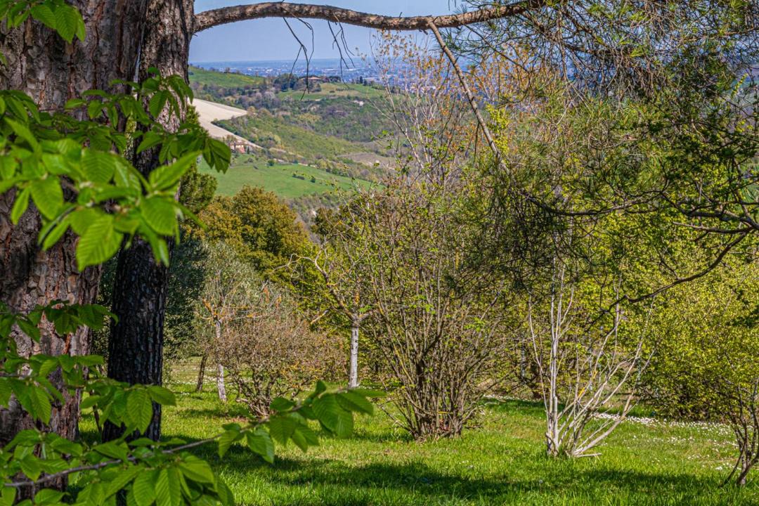 Photo of Others in Santo Stefano